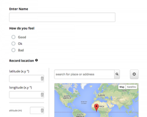 webform